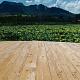 TimberTouch Old 359x20x2,5cm Golden Teak